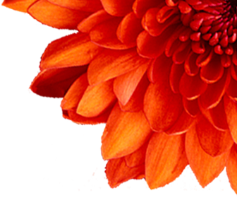 General Practitioner Logo